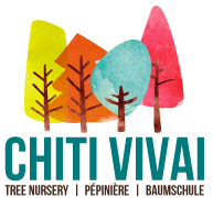 Chiti Vivai